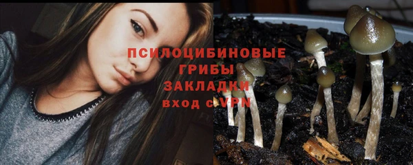 jwh Абаза