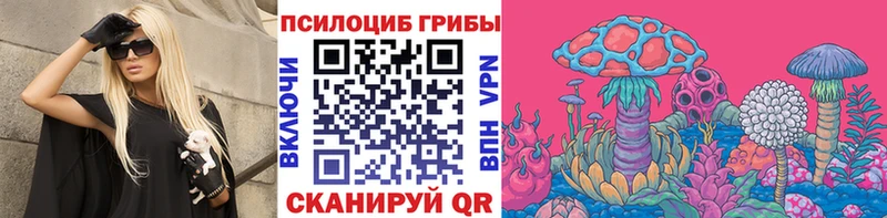купить закладку  Зеленодольск  Псилоцибиновые грибы ЛСД 