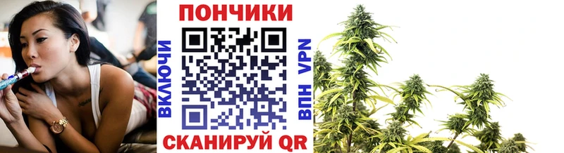 МАРИХУАНА семена  mega как войти  Зеленодольск 